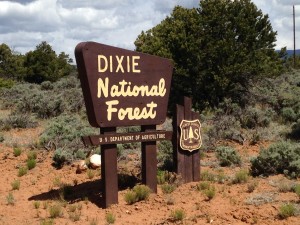 Hell's Backbone - Dixie National Forest